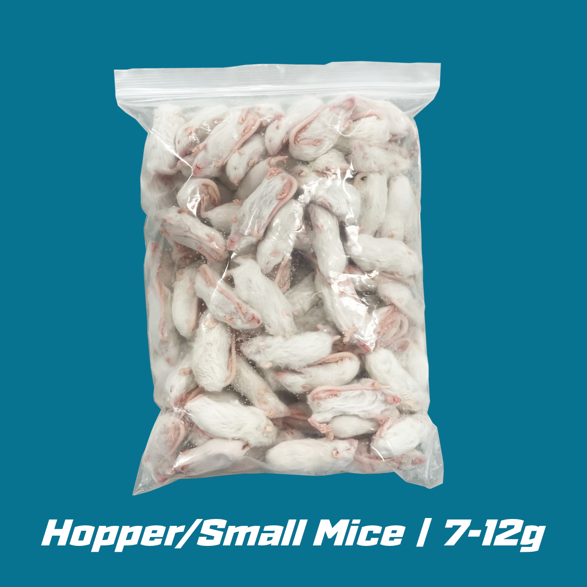 Hopper Frozen Mice