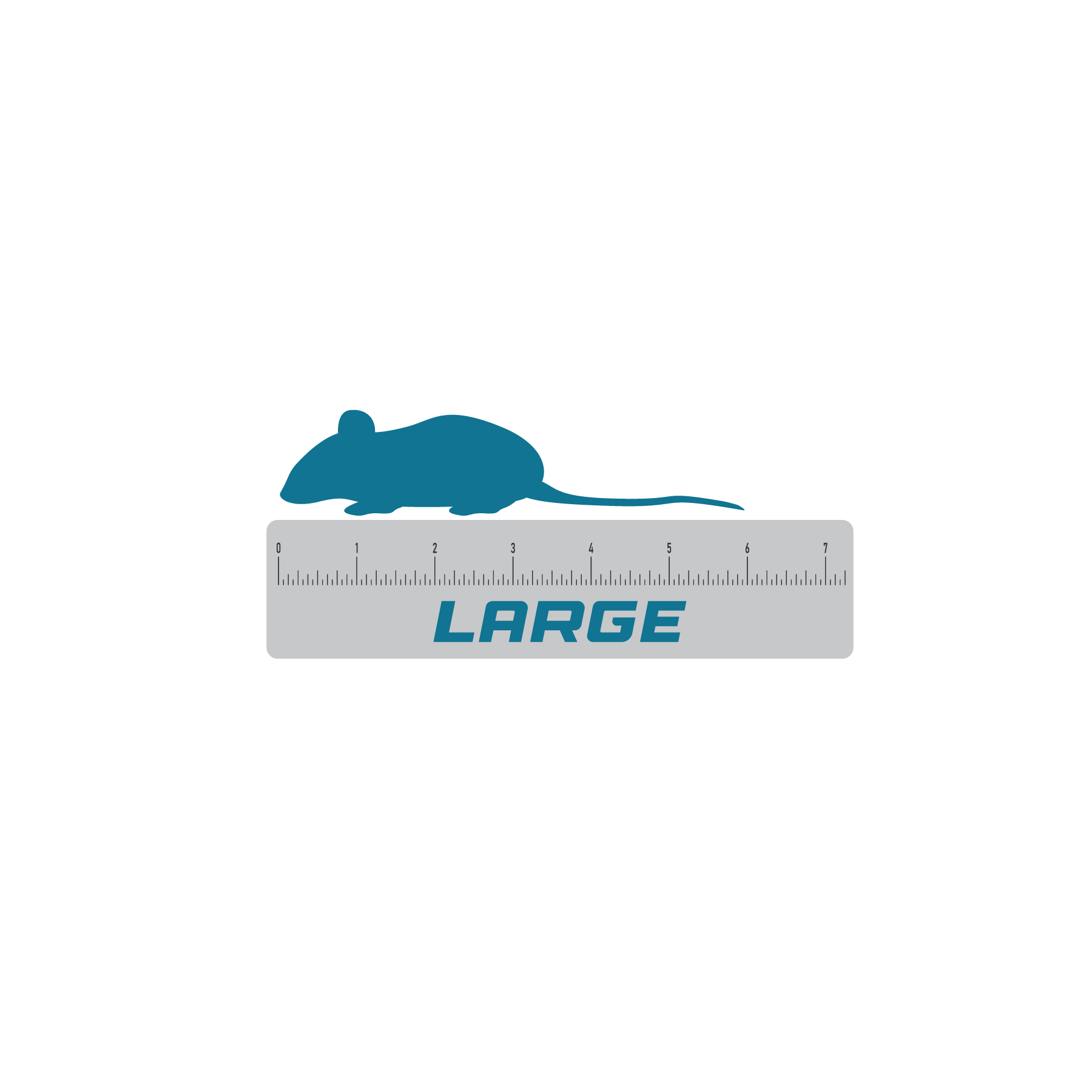 Large frozen feeder mice