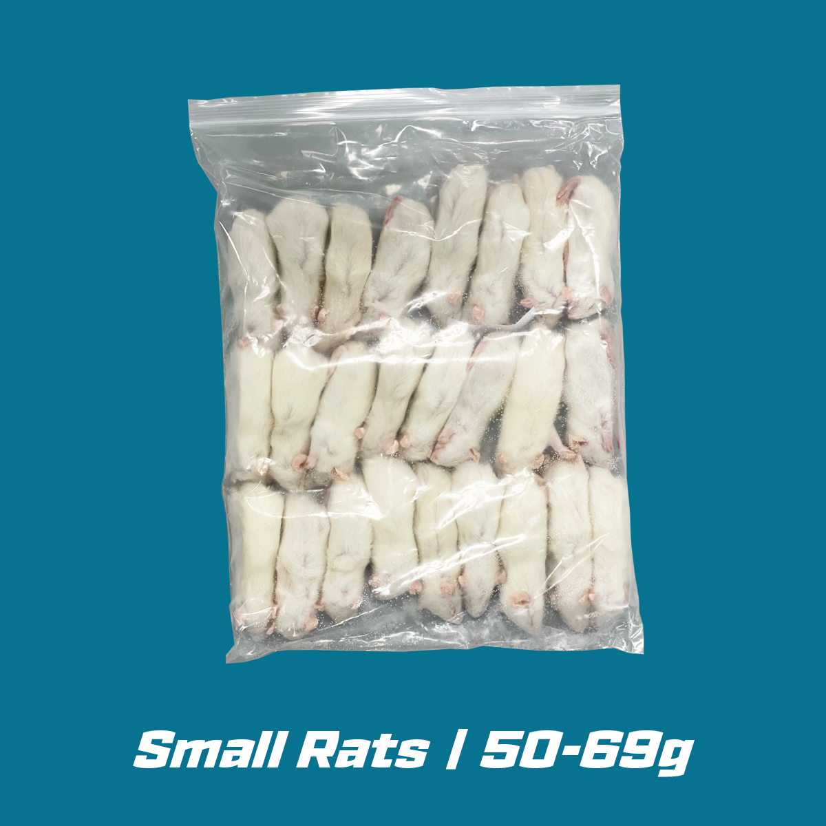 Small Frozen Rats