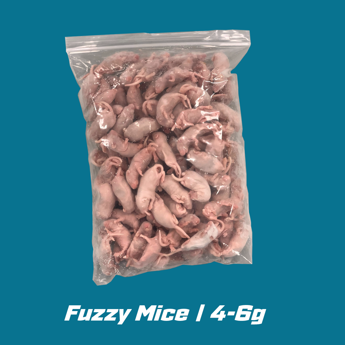 Frozen Fuzzy Mice