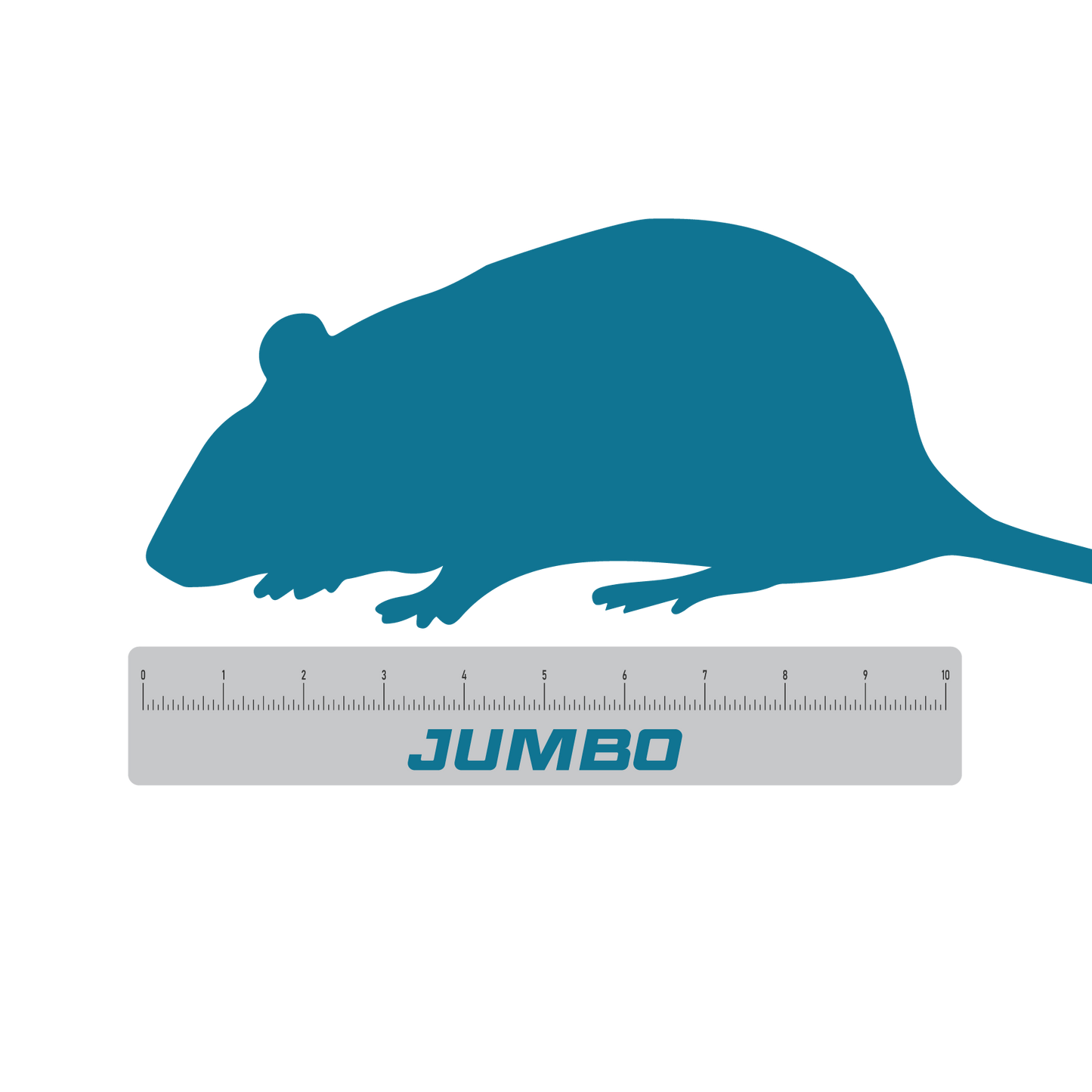 Jumbo frozen feeder rats