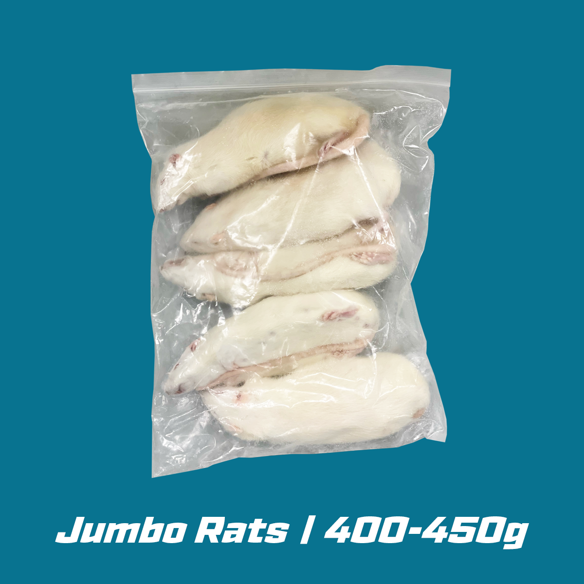 Jumbo Frozen Rats