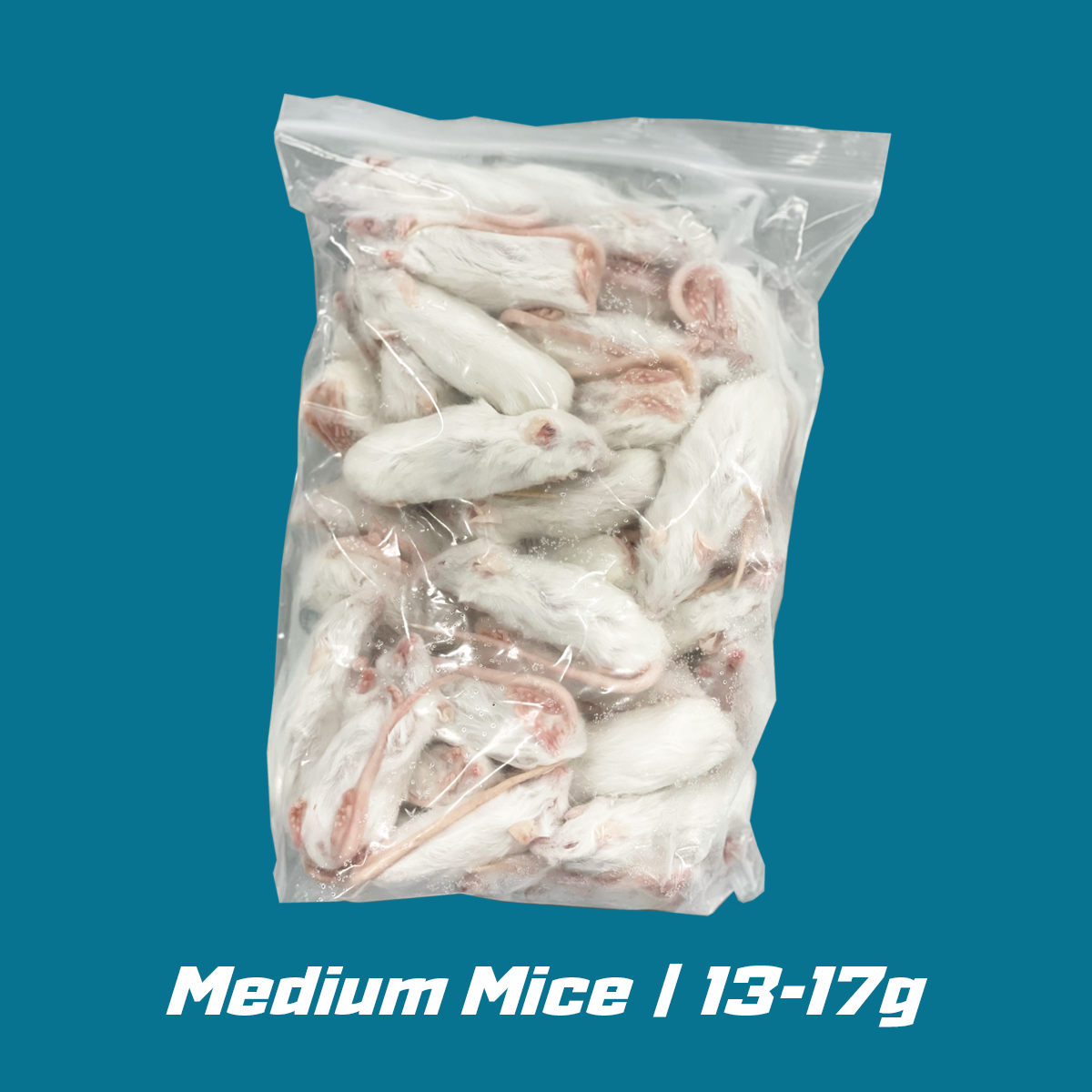 Medium Frozen Mice