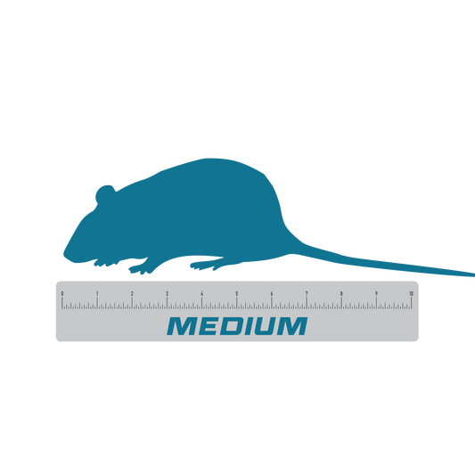Medium frozen feeder rats