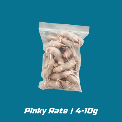 Pinky Frozen rats