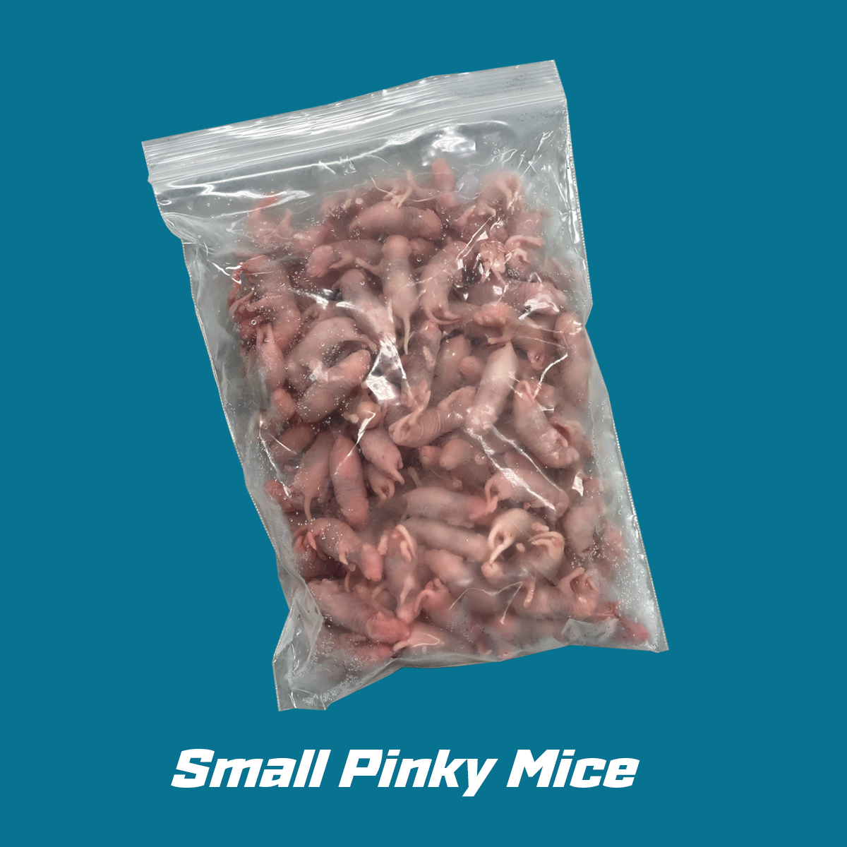 Small Frozen Pinky Mice