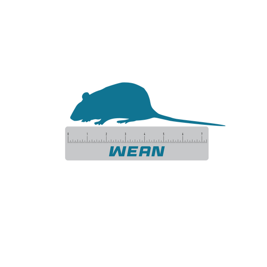 Frozen feeder wean rats